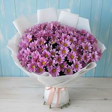 Букет цветов из:  Хризантемы в Нерастанное