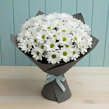 Букет цветов из:  Хризантемы в Нерастанное