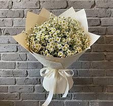 Букет цветов из:  Ромашки #REPLACE_PRED# Нерастанное