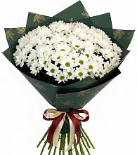 Букет цветов из:  Хризантемы в Нерастанное