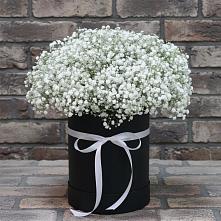 Цветочная композиция из Гипсофила в шляпной коробке #REPLACE_PRED# Нерастанное